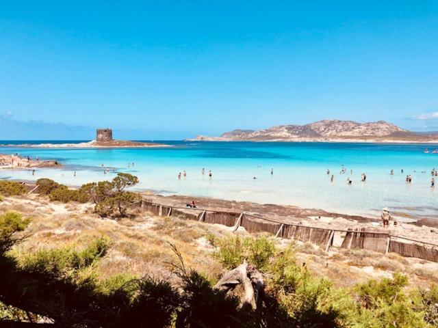 Villetta Indipendente Immersa Nel Verde Stintino Exteriér fotografie